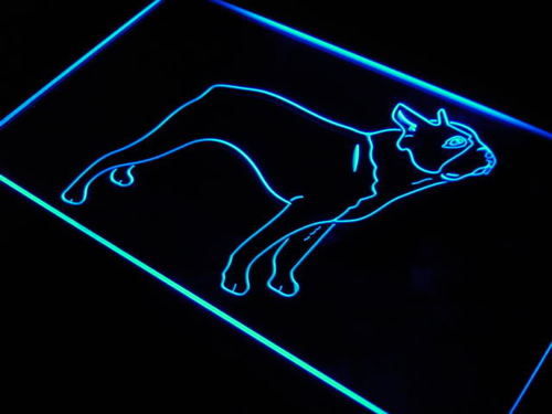 Boston Terrier Dog Pet Shop Neon Light Sign